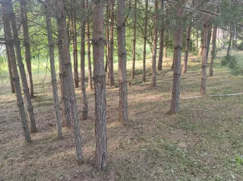 Land  Hajnienski sielski Saviet, Belarus