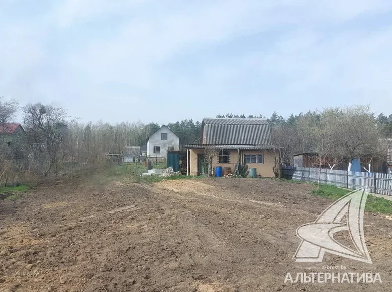 Haus 20 m² Cerninski sielski Saviet, Belarus