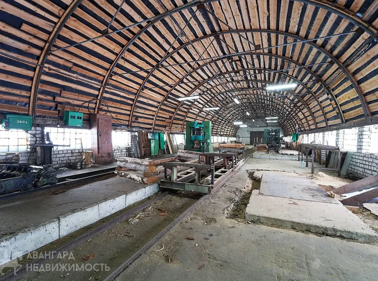 Produktion 569 m² in Zialiony Bor, Belarus