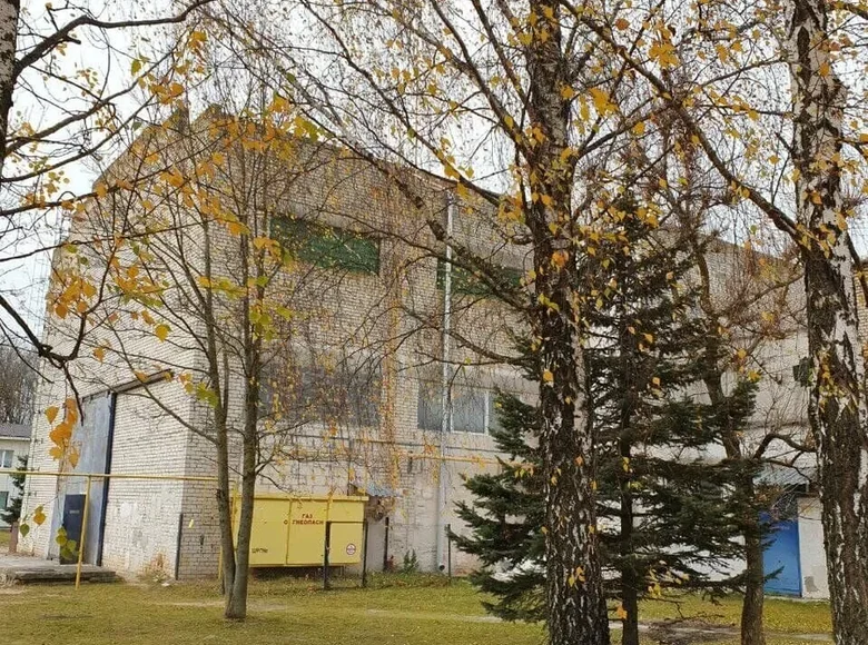 Fabrication 940 m² à Karaliova, Bélarus