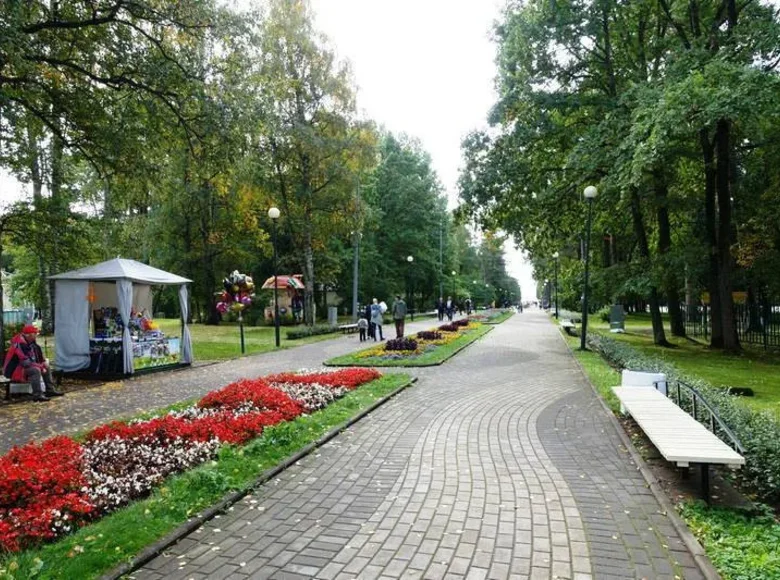 Apartment 29 m² Zelenogorsk, Russia