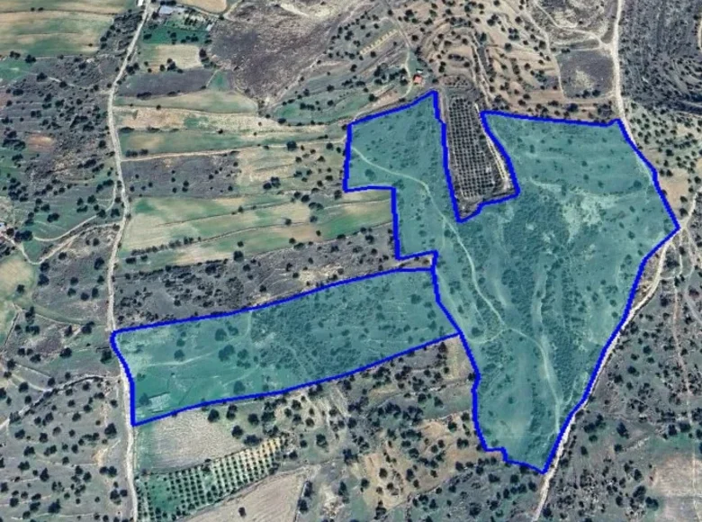 Land  Pachna, Cyprus