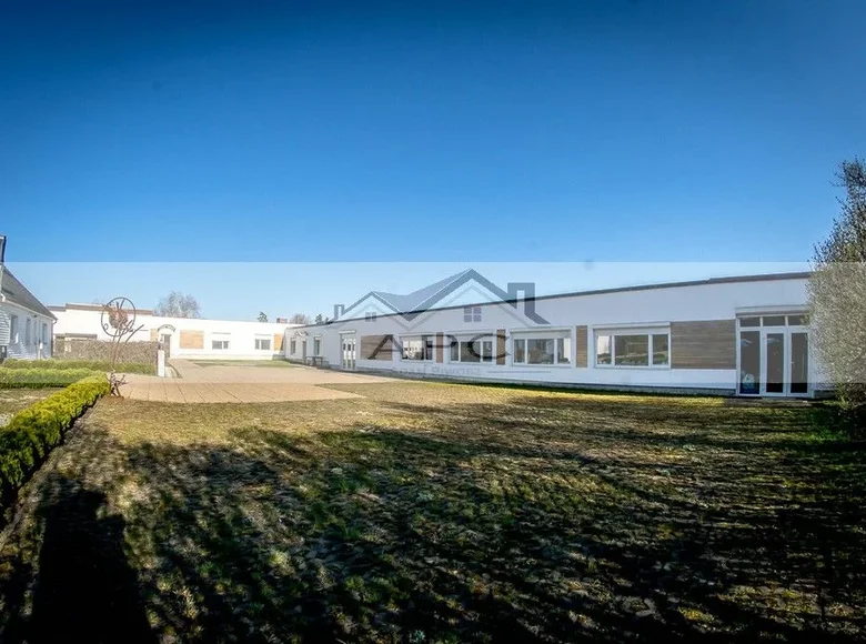 Sklep 890 m² Krosinko, Polska