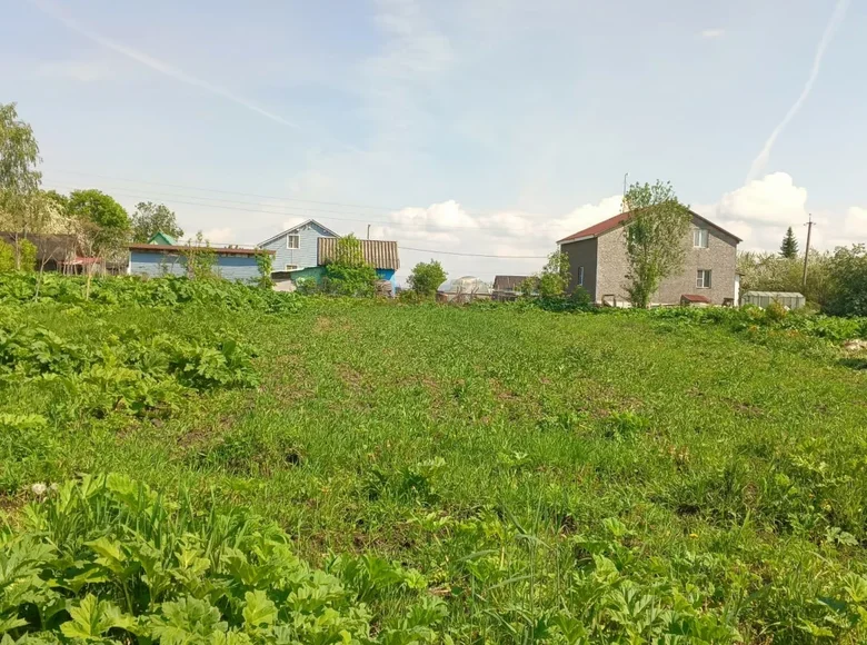 Land  Novyj Svet, Russia