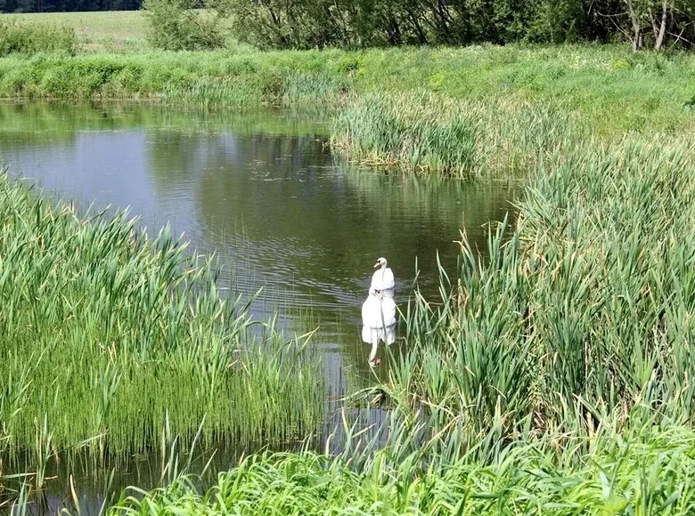 Casa 45 m² Dziescanski sielski Saviet, Belarús