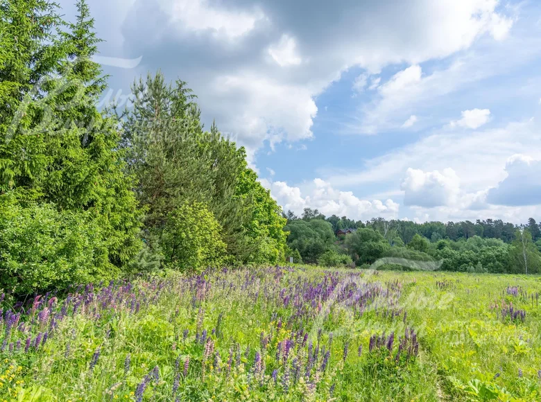 Grundstück  Föderationskreis Zentralrussland, Russland