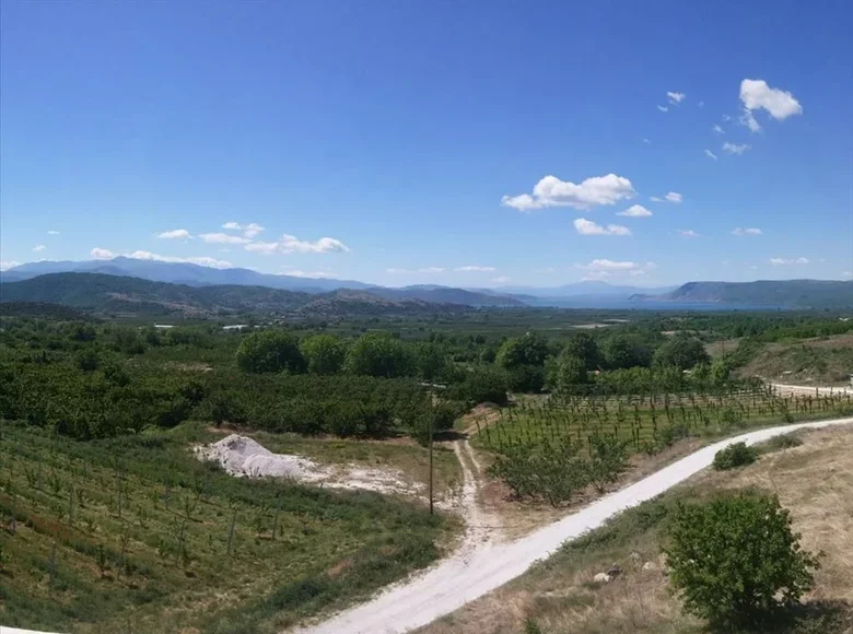 Земельные участки 1 комната  Panagitsa, Греция