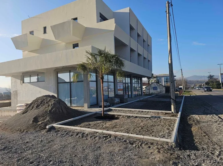 1 bedroom apartment 65 m² Podgorica, Montenegro