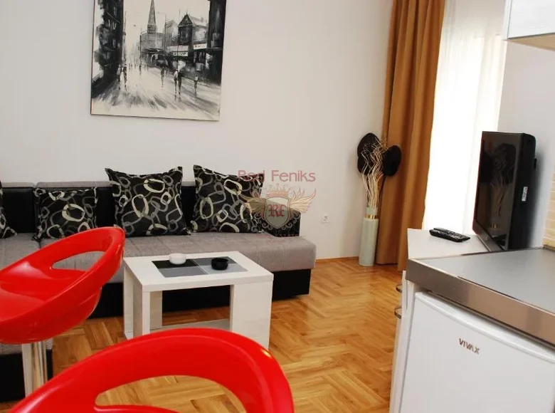 1 bedroom apartment  Montenegro, Montenegro