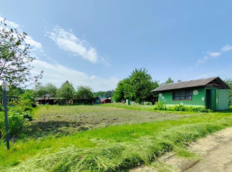 Atterrir  Zodzinski sielski Saviet, Bélarus