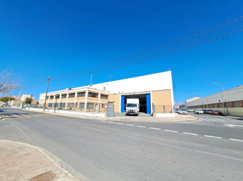 Warehouse 4 978 m² in Alicante, Spain
