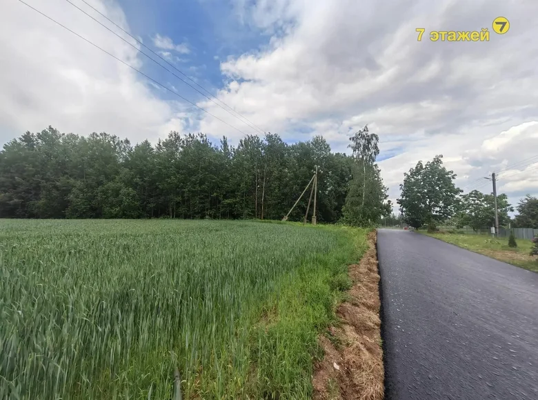 Casa 240 m² Piatryskauski sielski Saviet, Belarús