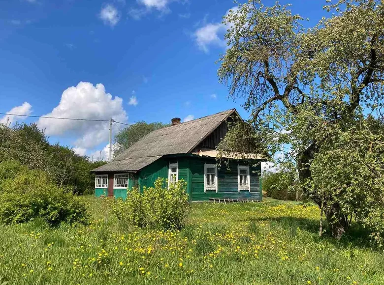 Haus 51 m² Kurhanski sielski Saviet, Belarus