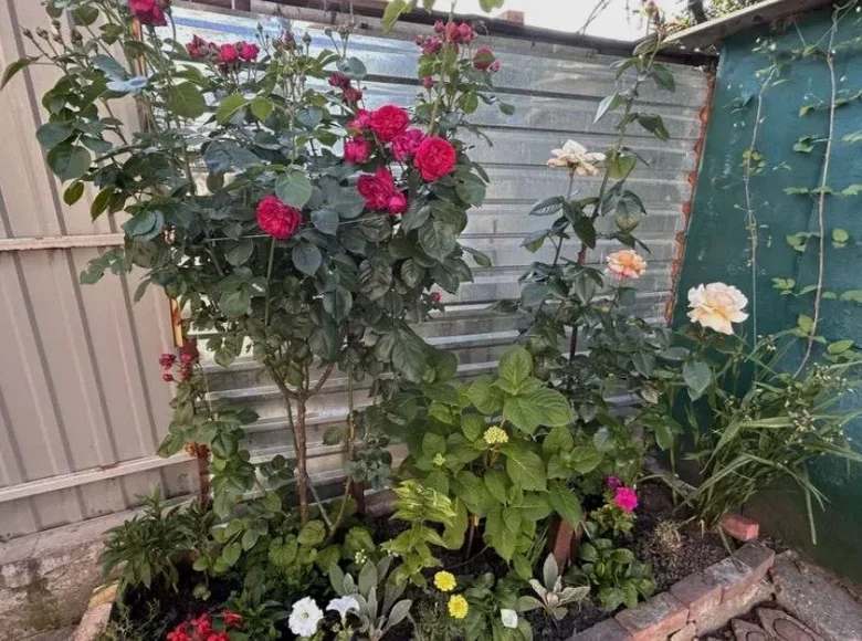 Dom 2 pokoi 41 m² Odessa, Ukraina