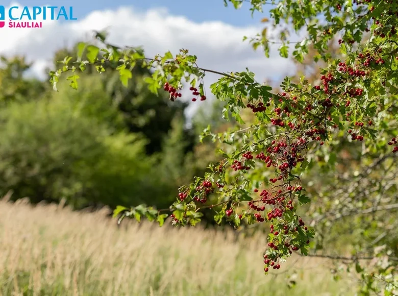 Parcelas  Šiauliai, Lituania