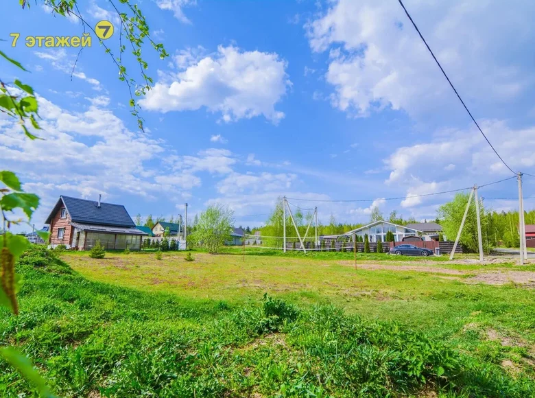 Działki  Lahojsk selsaviet, Białoruś