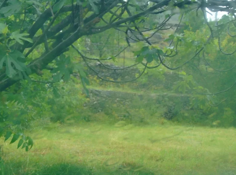 Atterrir 1 202 m² Podgorica, Monténégro