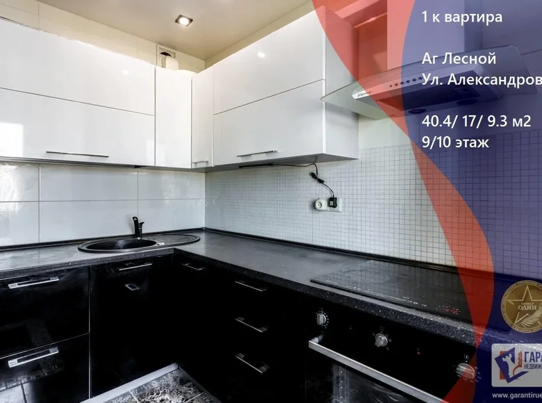 1 room apartment 40 m² Lyasny, Belarus