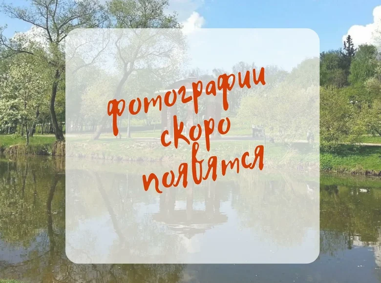 Commercial property 13 m² in Minsk, Belarus