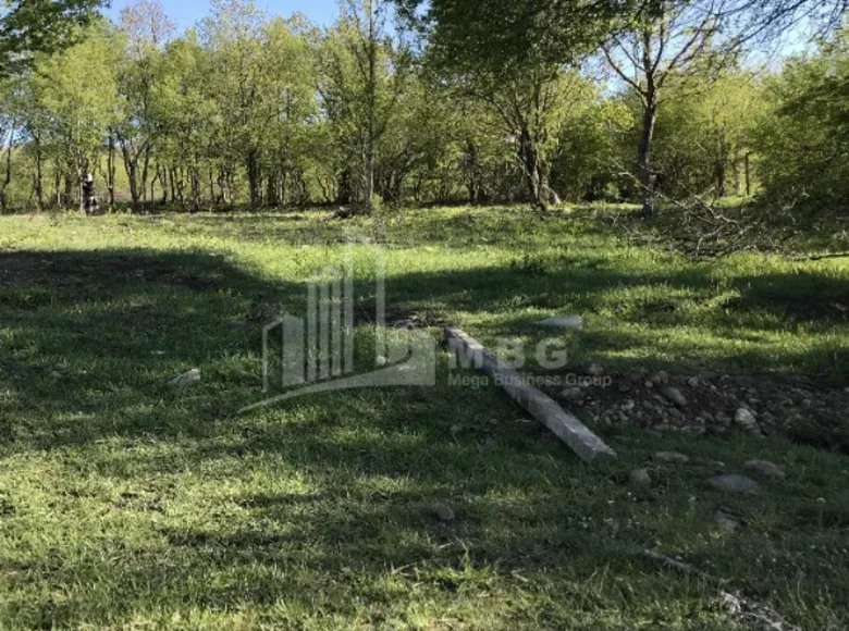 Land 1 100 m² Tbilisi, Georgia