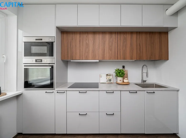 Appartement 3 chambres 67 m² Vilnius, Lituanie