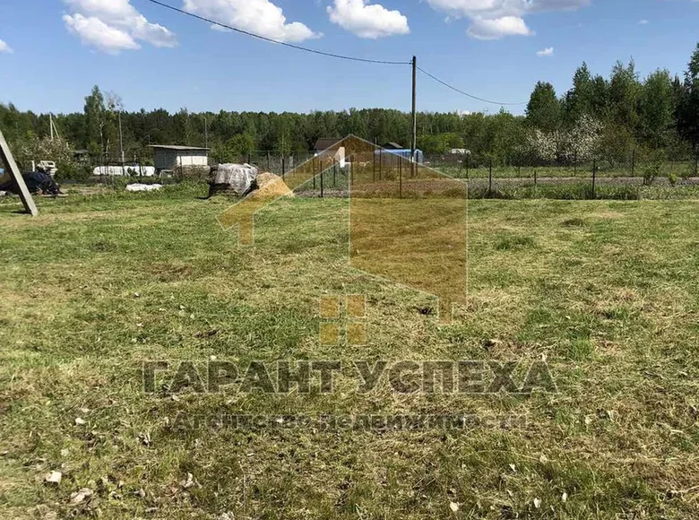 Land  Vielikarycki sielski Saviet, Belarus