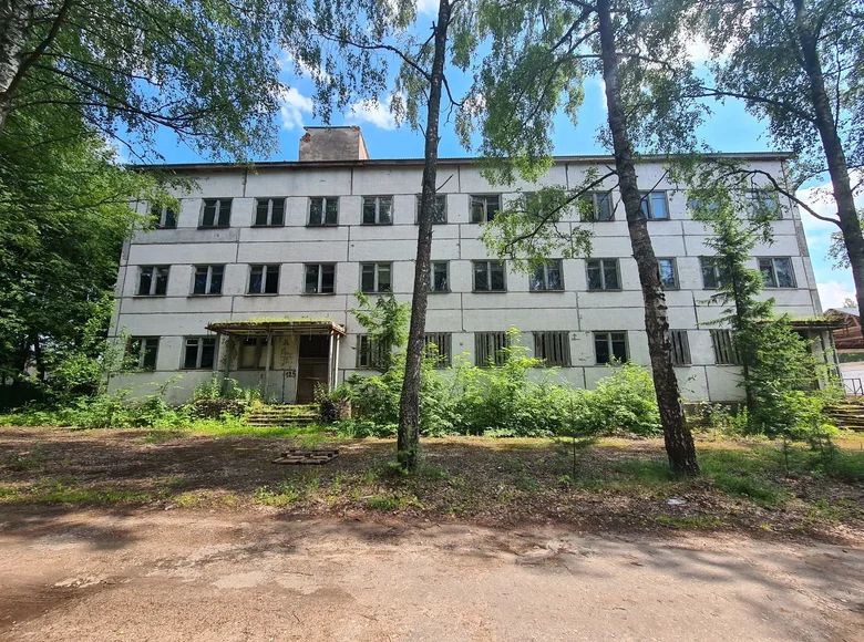 Commercial property 2 491 m² in Pleshchanitsy, Belarus
