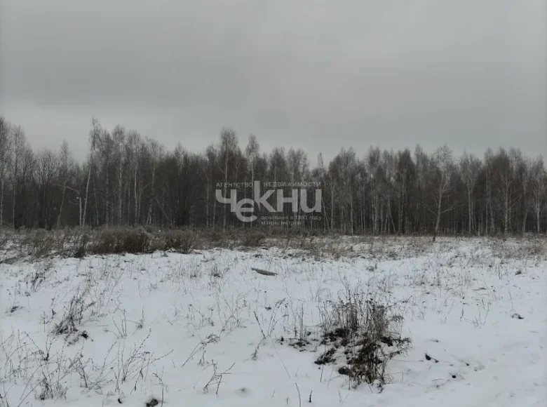 Grundstück 1 200 m² Dalnekonstantinovsky District, Russland