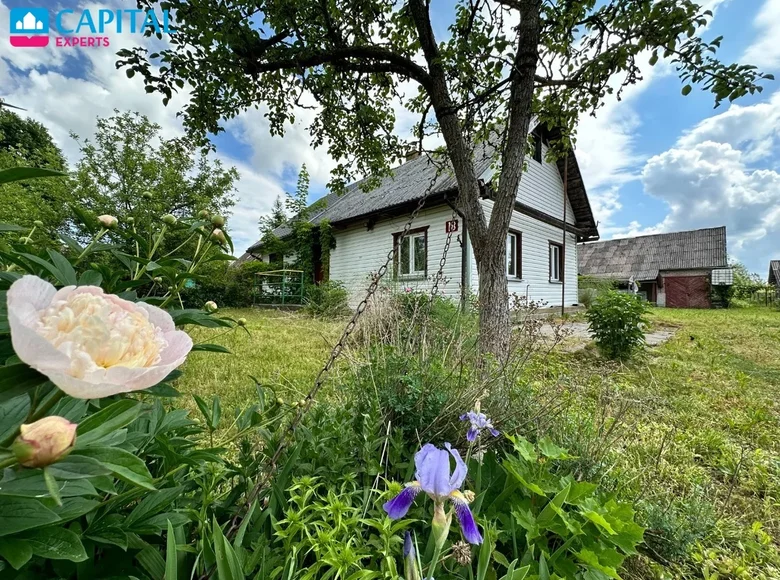 Дом 41 м² Videniskiai, Литва