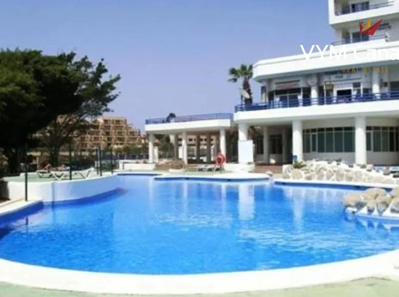 Appartement 895 m² Adeje, Espagne