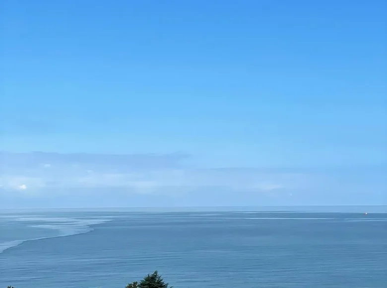 Studio apartment 1 bedroom 35 m² Batumi, Georgia