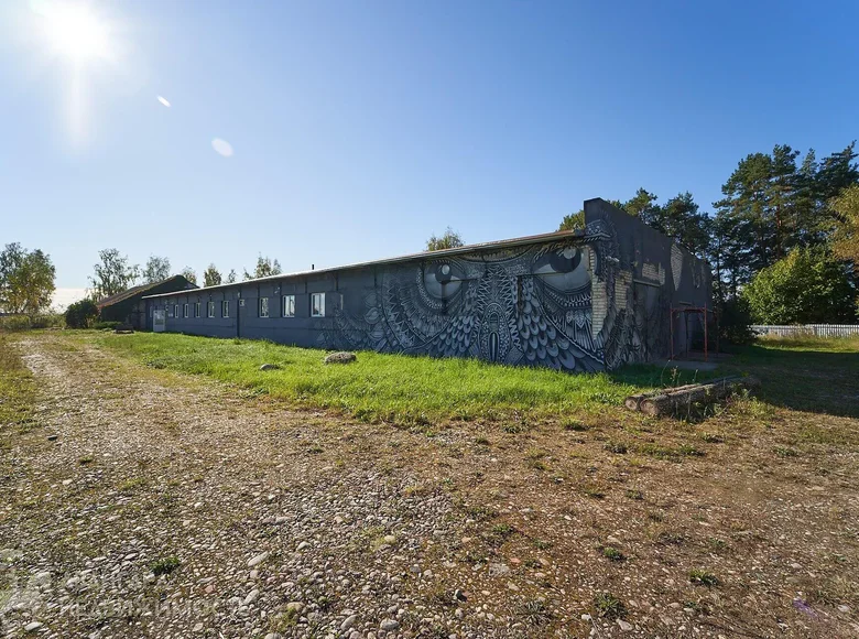 Manufacture 1 163 m² in Lahojsk selsaviet, Belarus