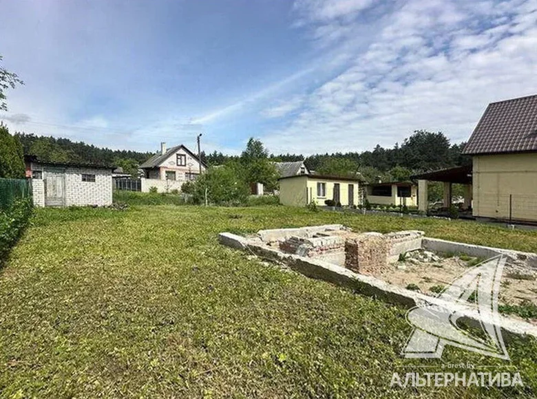 Działki  Carnaucycki sielski Saviet, Białoruś