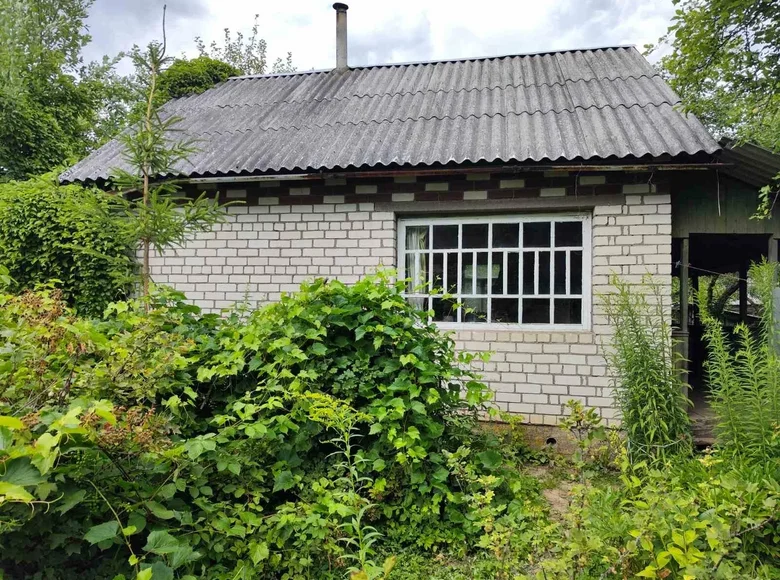 House 30 m² Rakauski sielski Saviet, Belarus