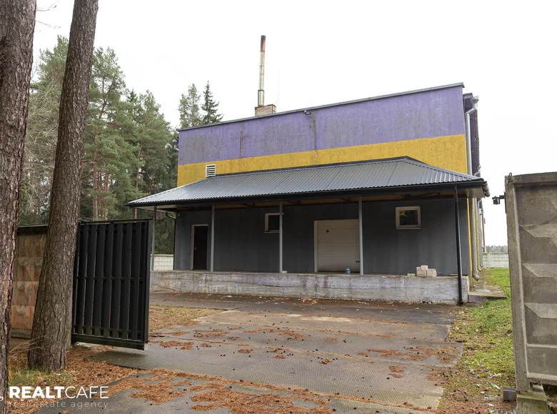 Manufacture 1 345 m² in Minojty, Belarus