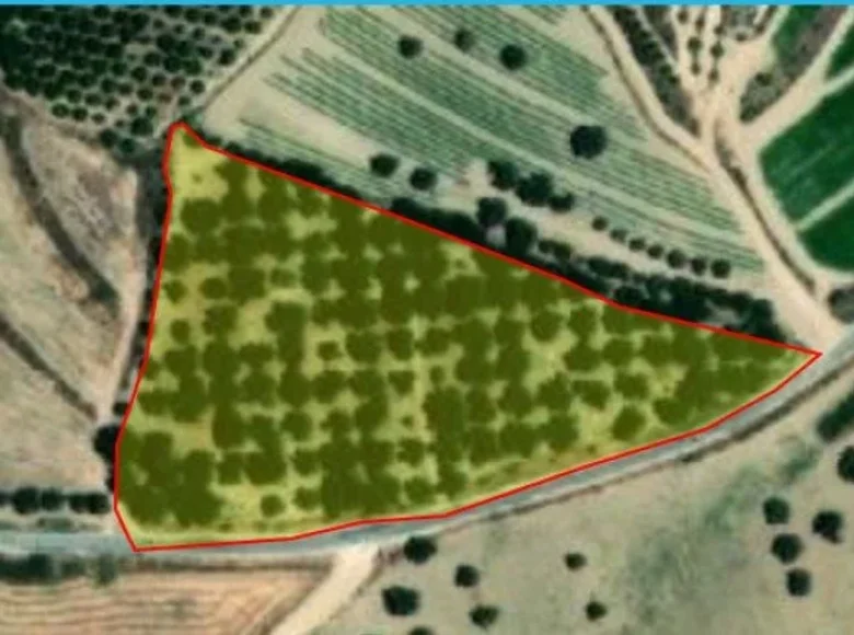 Квартира  Хрисоху, Кипр