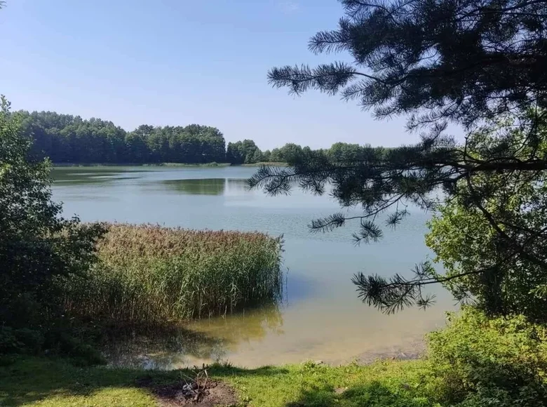 House 67 m² Svatki, Belarus