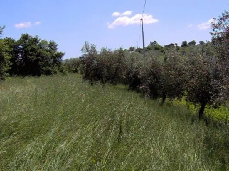 Atterrir 40 000 m² Terni, Italie