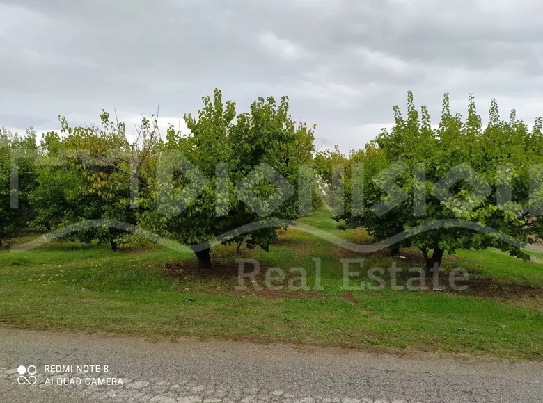 Działki 4 000 m² Paralia Dionisiou, Grecja