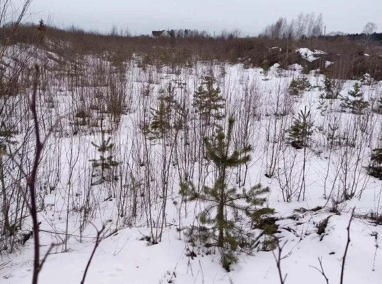 Land  Usiazski sielski Saviet, Belarus