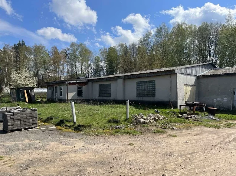 Manufacture 7 rooms 297 m² in Ozyaritska-Slabadski rural council, Belarus