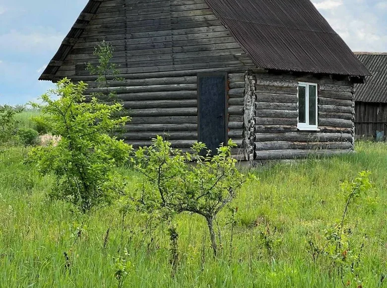 Działki  Ilyanskiy selskiy Sovet, Białoruś