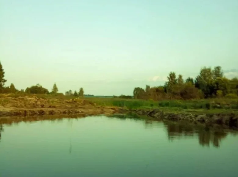 Grundstück  Puchavicki sielski Saviet, Belarus