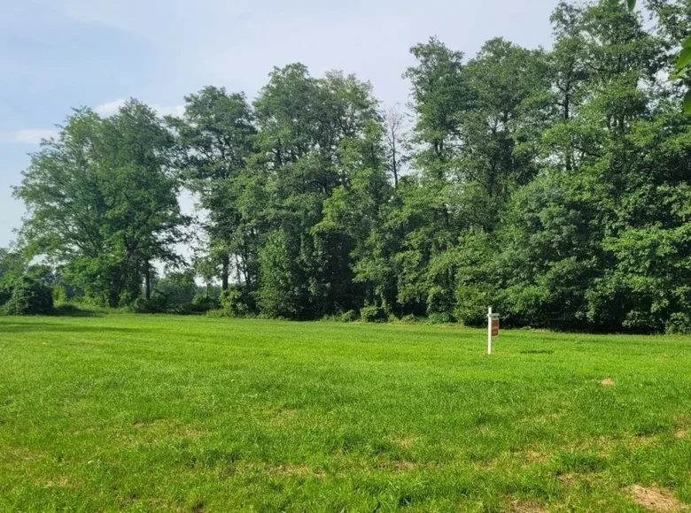 Land 5 000 m² Albertowsko, Poland