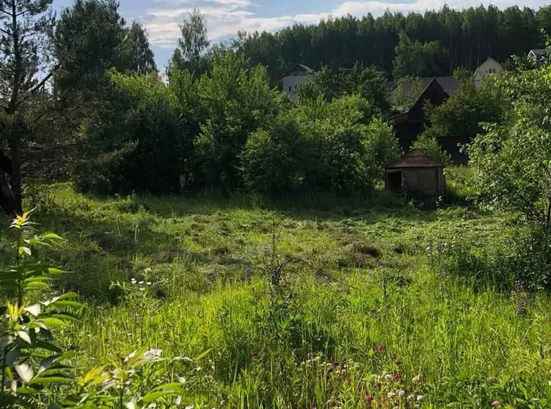 Grundstück  Ozyaritska Slabadski rural council, Belarus