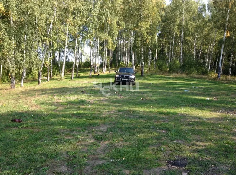 Atterrir 1 600 m² Afanasevo, Russie