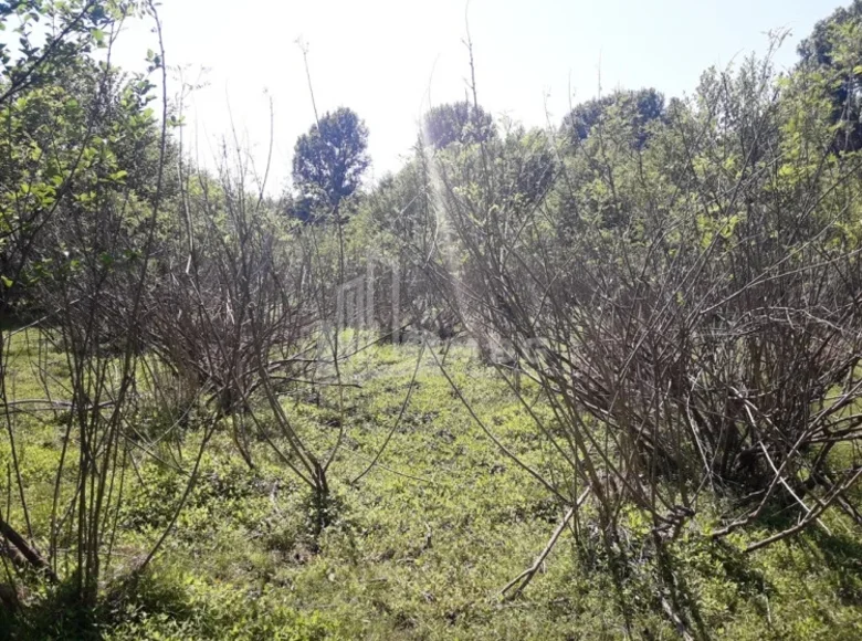 Działki 1 700 m² Tbilisi, Gruzja