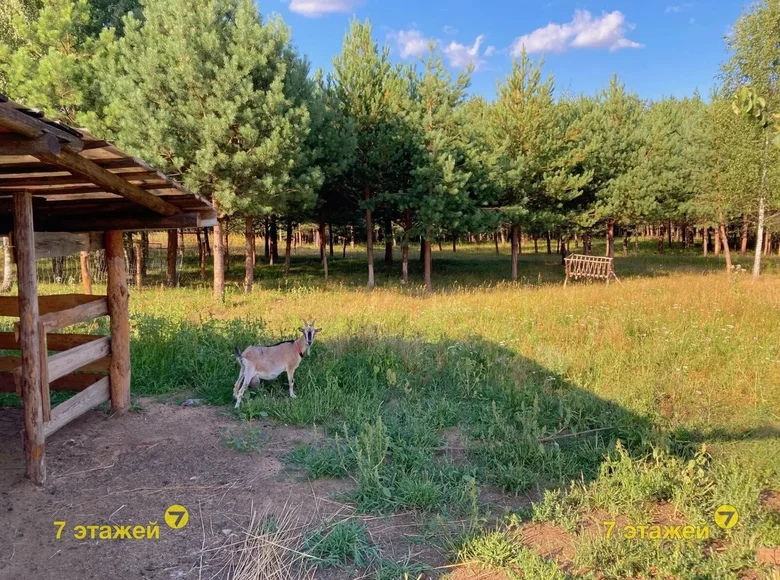 Zakład produkcyjny 63 m² Piarsajski sielski Saviet, Białoruś