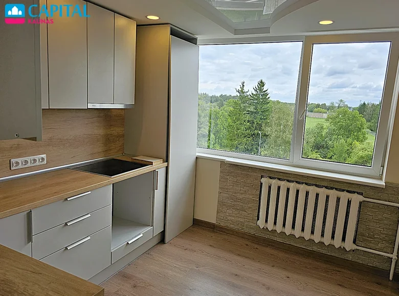 Wohnung 1 zimmer 33 m² Ponewiesch, Litauen