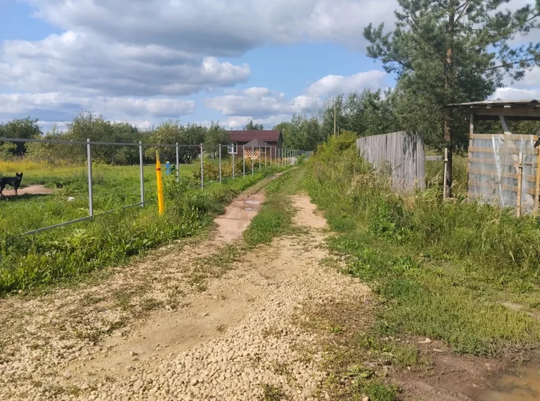   Gatchinsky District, Russia